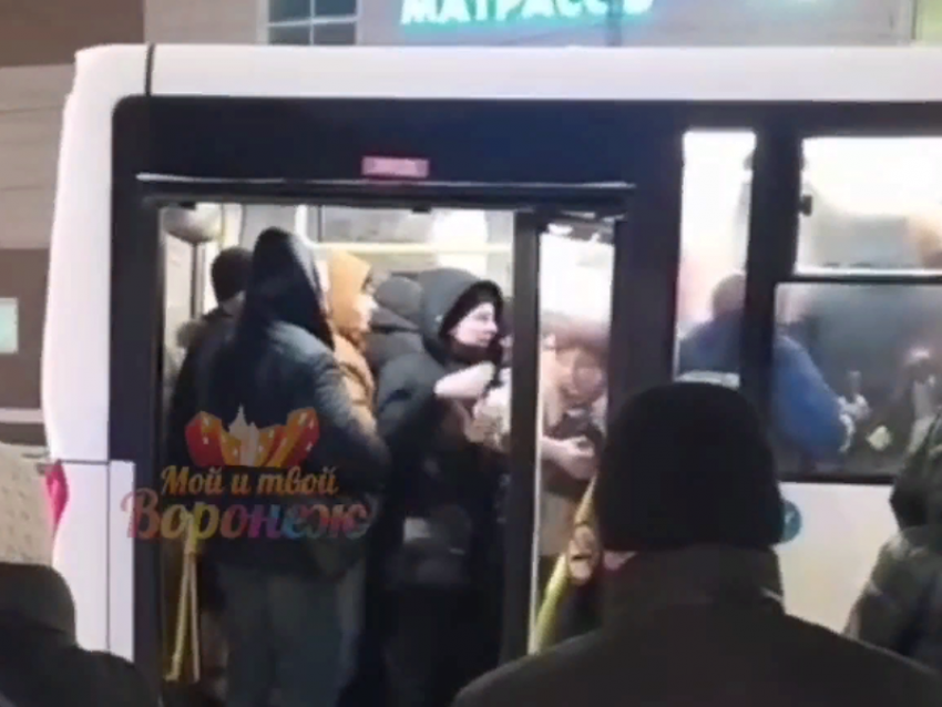 "Руки убери от меня!» – стычку между женщиной и мужчиной в автобусе засняли на видео в Воронеже