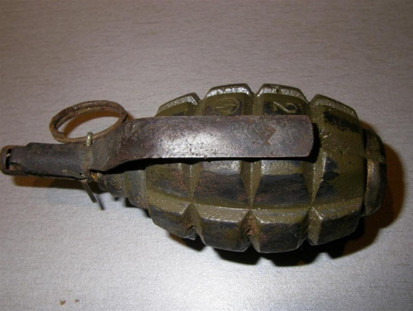 Под Воронежем сотрудники ДПС обнаружили у водителя гранату Ф-1