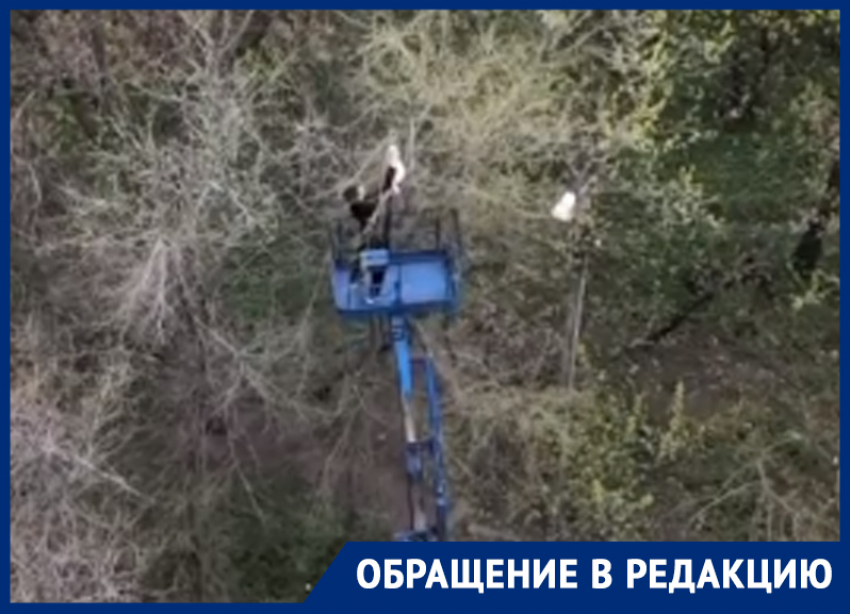 Трогательное спасение кота с помощью вышки сняли в Воронеже