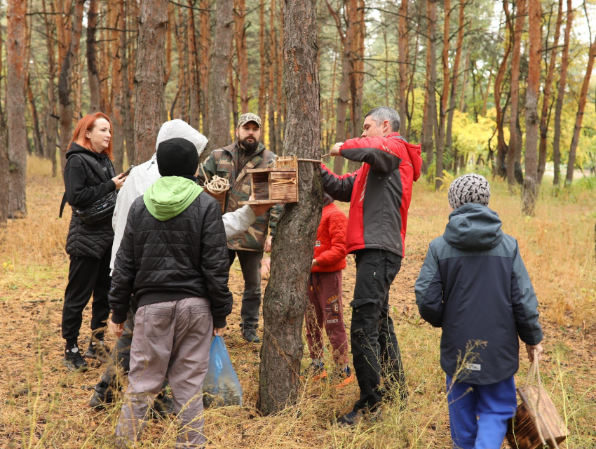 Белки Воронежа теперь с обедом: в «Танаисе» появились 15 кормушек
