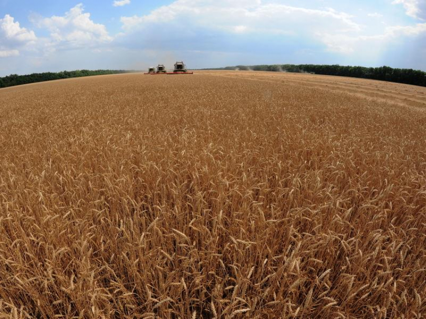 Воронежскую организацию наказали за использование беспилотников