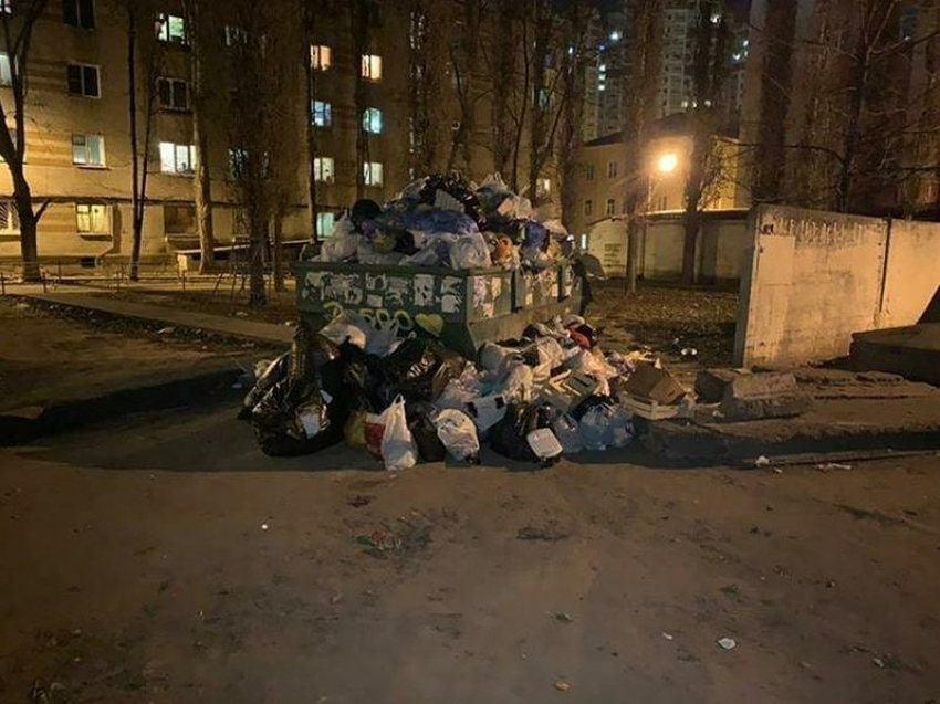 Воронежцы запечатлели мусорное царство по соседству с местным «Газпромом»