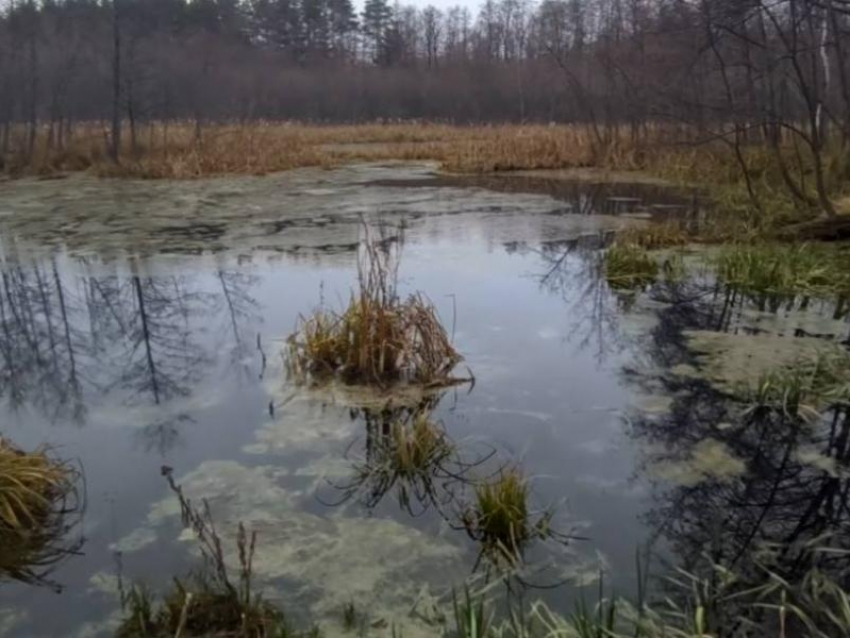 Два озера тают на глазах в Воронежской области