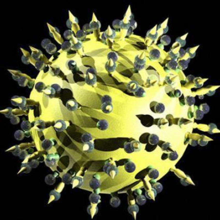 В Воронежской области выросла заболеваемость сифилисом и гепатитом С