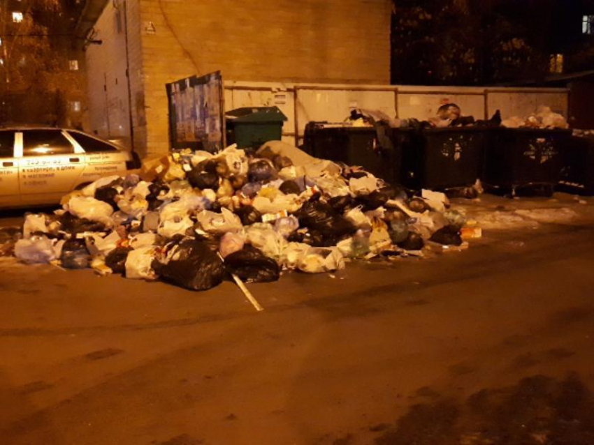 Страстную любовь чиновников к мусору увидели в Воронеже