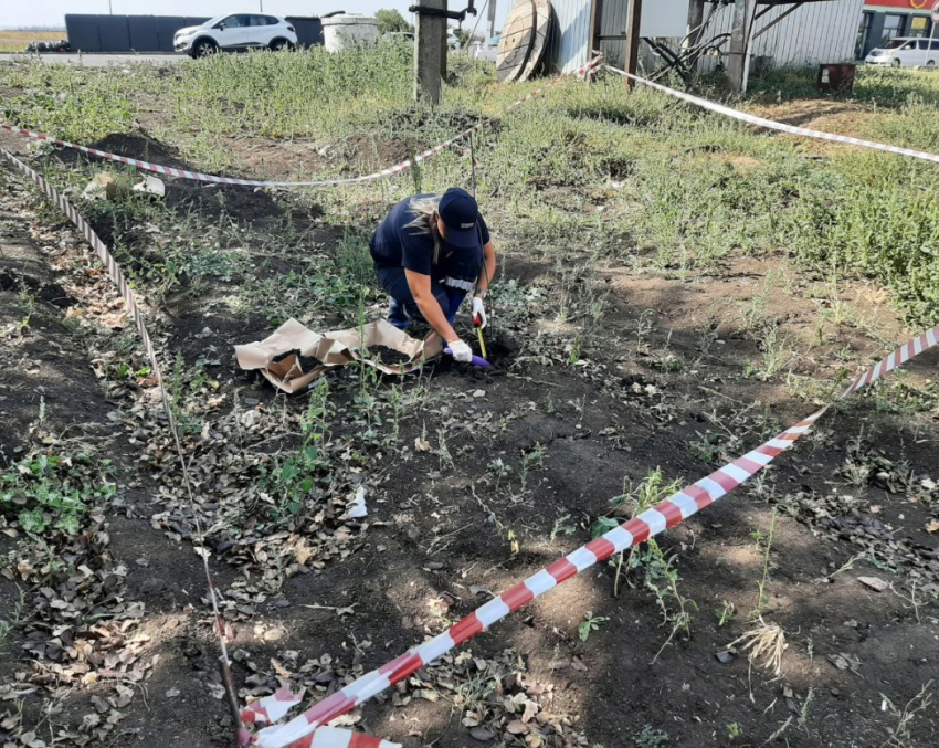 Придорожный “Помпончик” загрязнил воронежскую экологию на крупную сумму