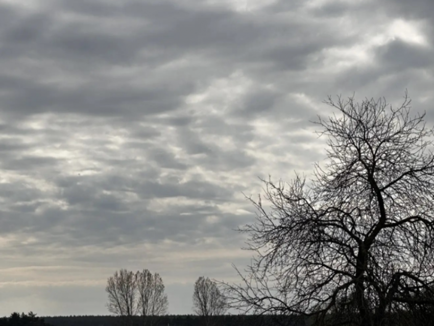 Погода заставит воронежцев пожаловаться мэру на отключённое отопление 