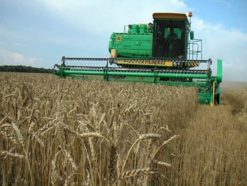В Воронежской области в 2013 году планируют собрать 3,5 миллионов тонн зерна