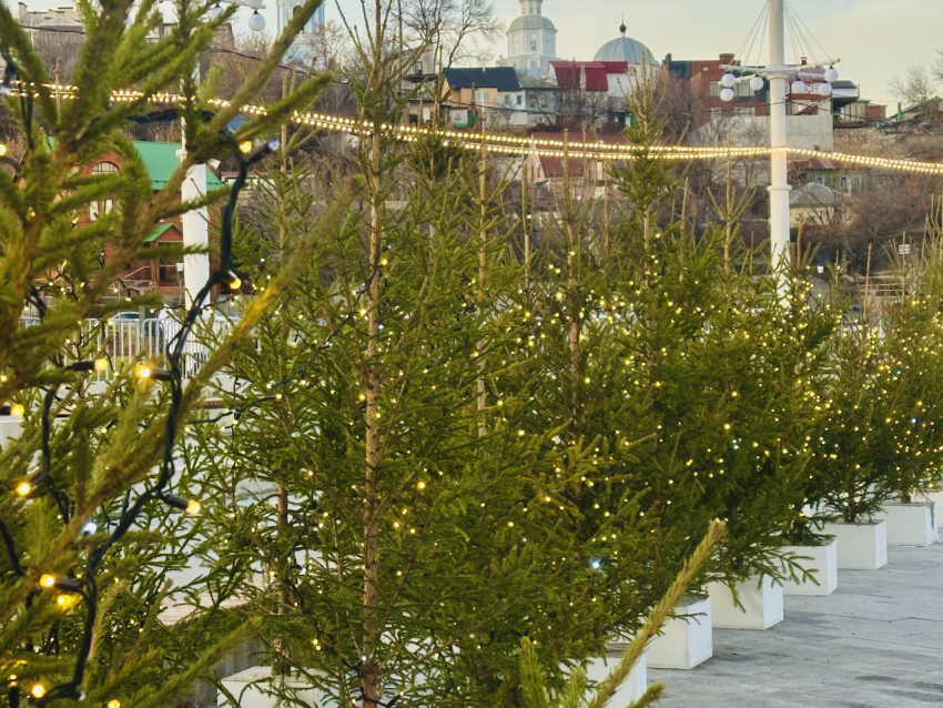 Погода в Воронеже: морозные ночи обещают горожанам