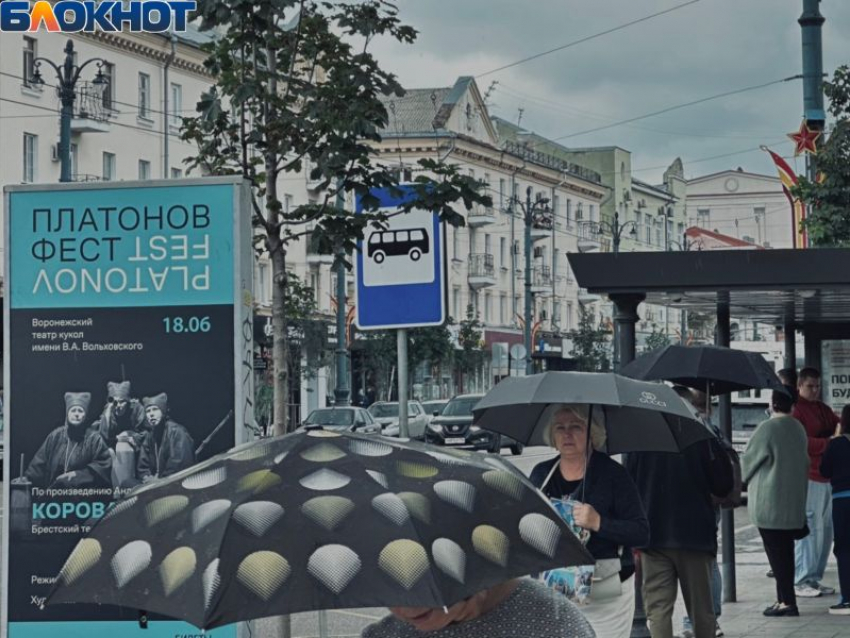 Ограничить скорость движения по проспекту Революции предложил воронежский депутат