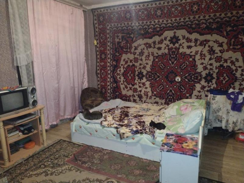 Женщина убила брата в обоюдной драке в Воронежской области 