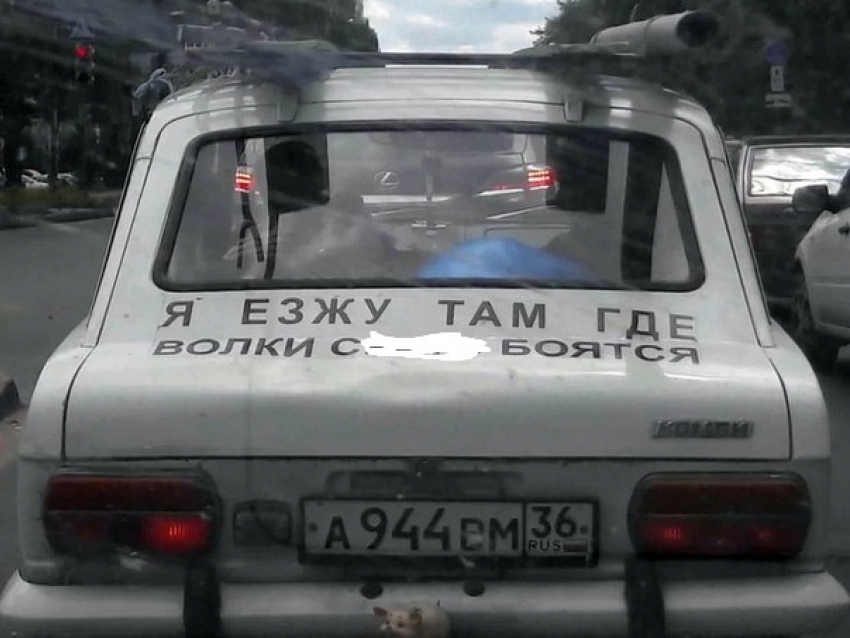 Воронежцы высмеяли водителя автохлама за грубую надпись