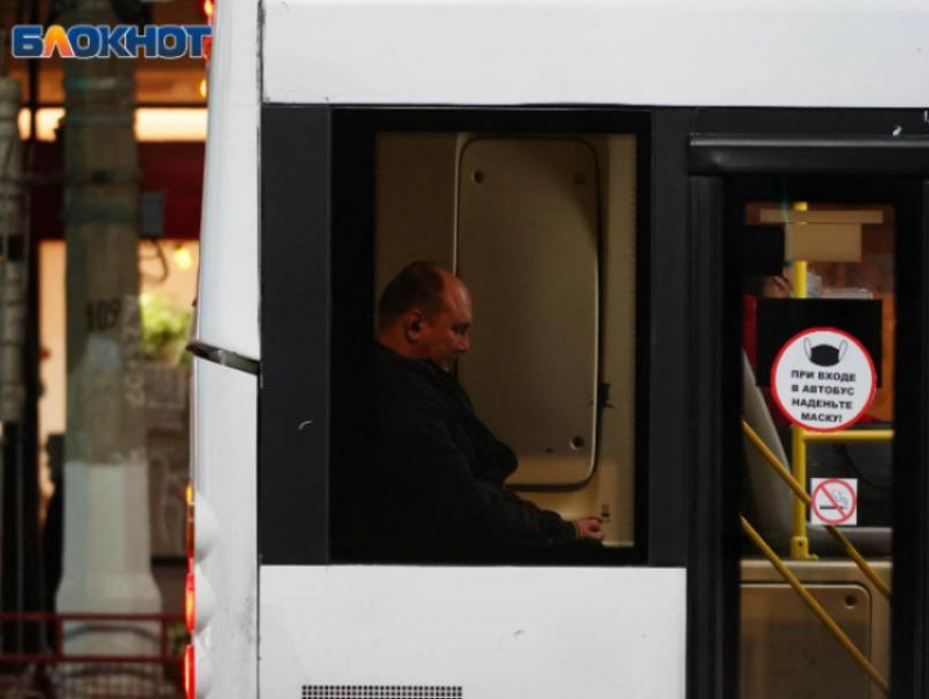 Междугородний автобус возобновил работу в Воронежской области