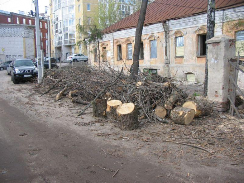 Стало известно, кто спроектирует обновление Дома Гарденина за 8,8 млн рублей в Воронеже