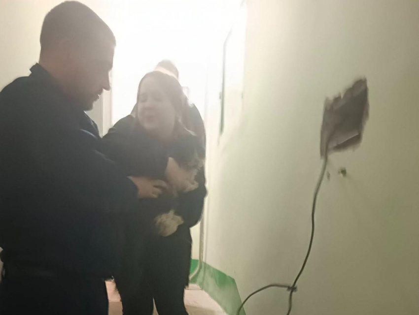 Замурованного котика достали из стены в Воронеже