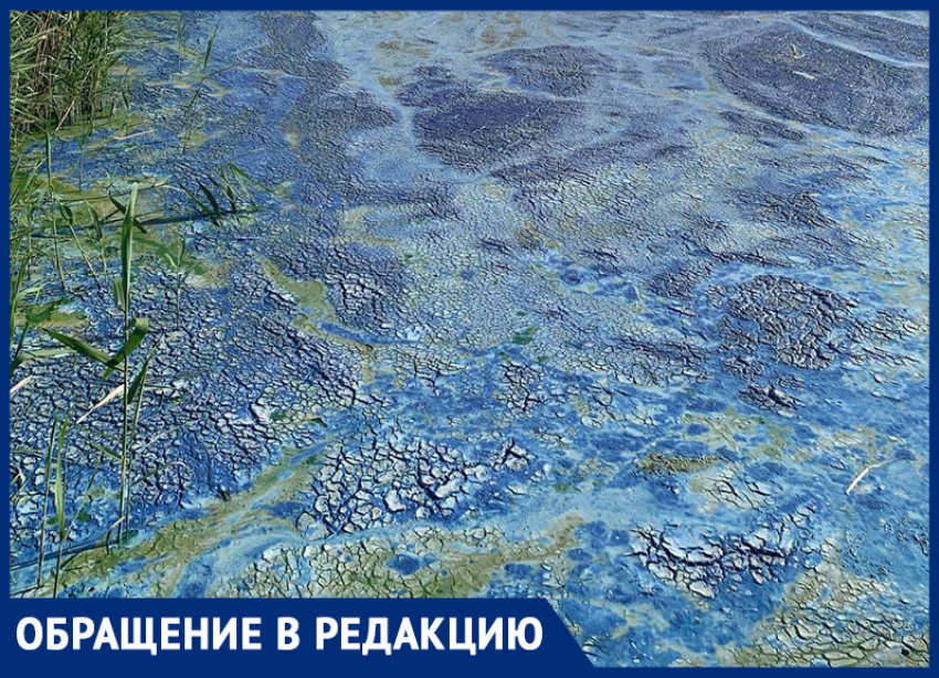 Экологи объяснили разноцветную корочку на воронежской реке