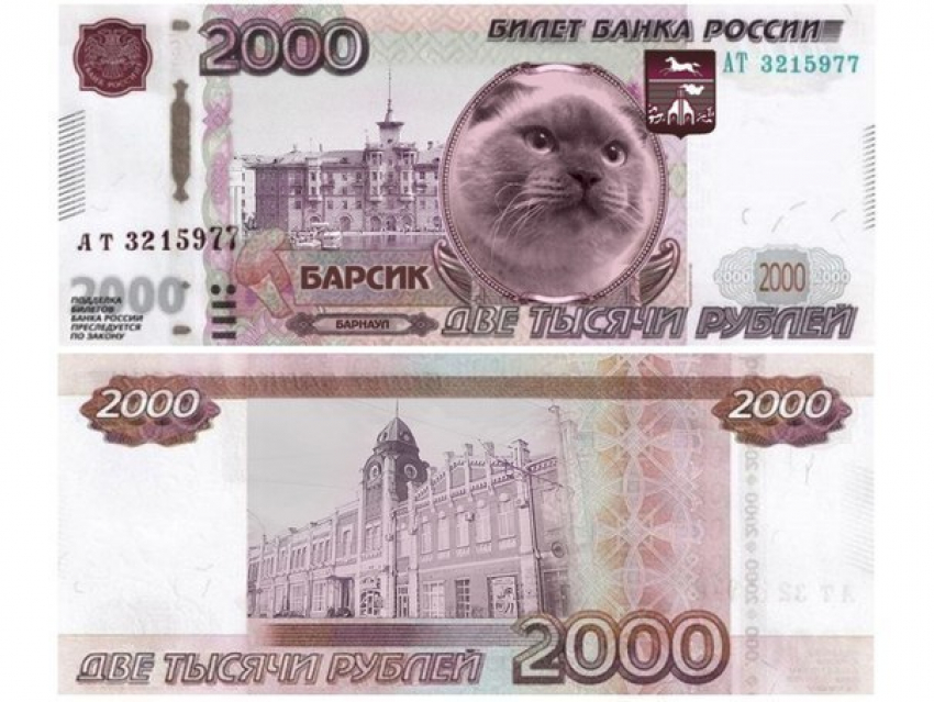 Барсик из Барнаула не сможет конкурировать с воронежским Котёнком с улицы Лизюкова