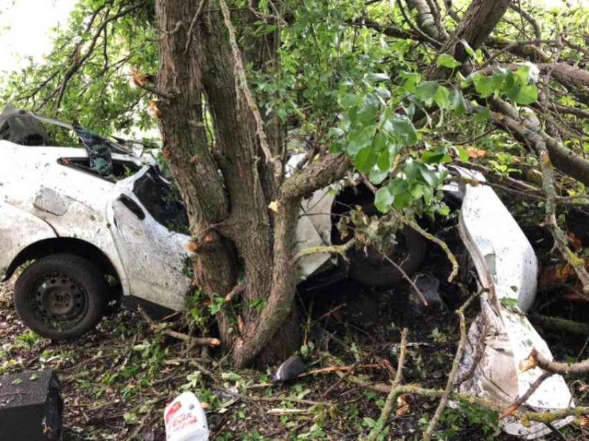 Опубликованы фото с места ДТП с двумя погибшими под Воронежем