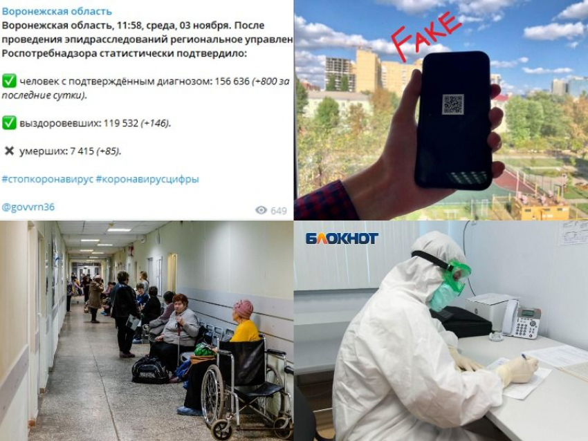 Коронавирус в Воронеже 3 ноября: +800 заражений, подделки QR-кодов и поставки «Спутника Лайт»