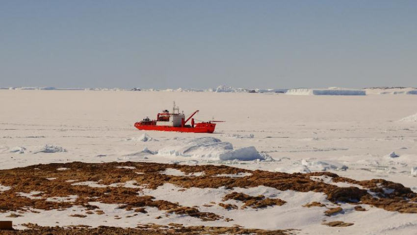 Воронежцы теперь могут дозвониться до полярников в Антарктиде