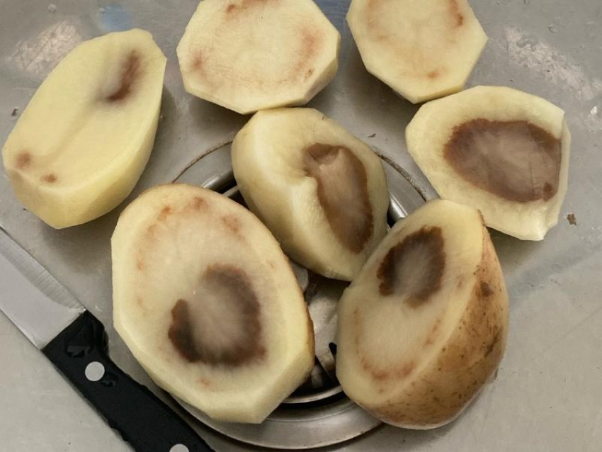 Товар с гнильцой внутри возмутил жительницу Воронежа