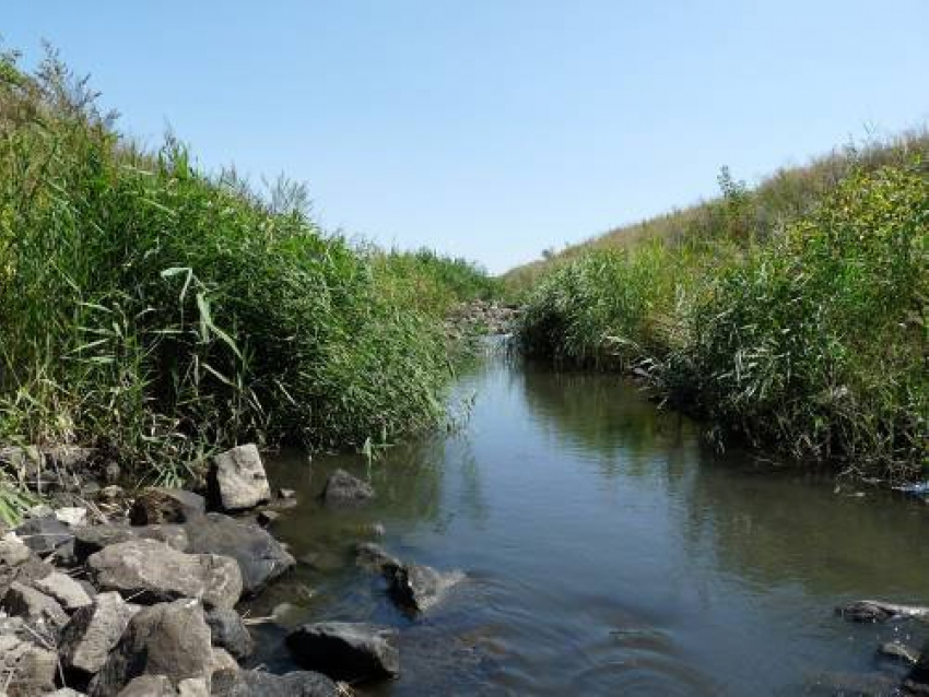  СУ СКР: 7-летний мальчик умер от асфиксии при утоплении