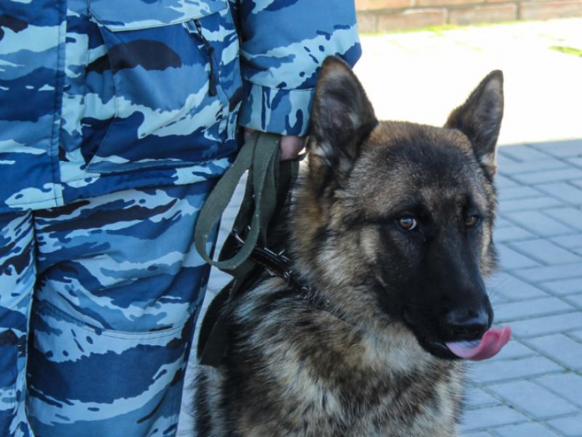 Подрыв военкомата предотвратили в Воронеже 