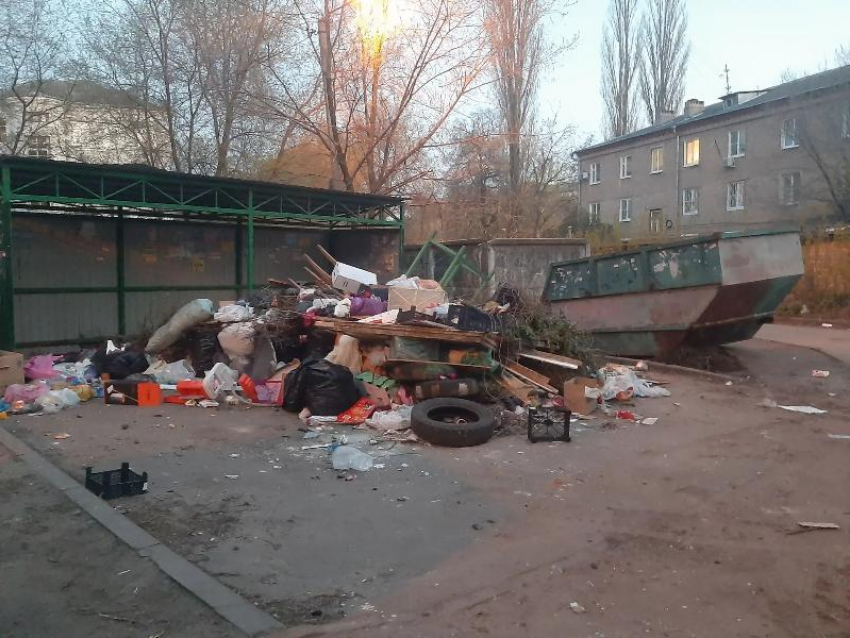 Гора мусора в окружении пустых контейнеров ТКО разродилась во дворе дома в Воронеже