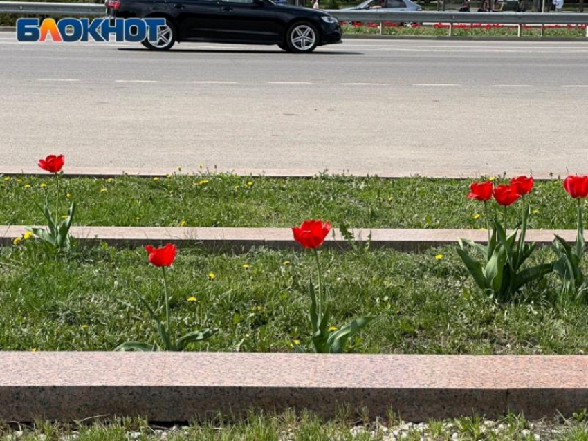 «Скоро будет пройден рубеж»: синоптик рассказал, когда потеплеет в Воронежской области