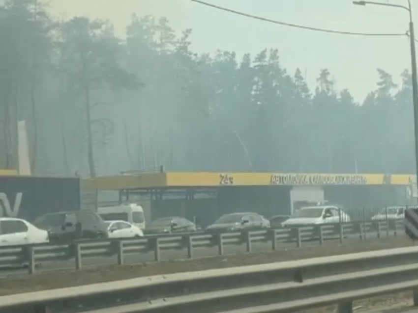Страшный дым из леса рядом с оживленной трассой сняли в Воронеже 