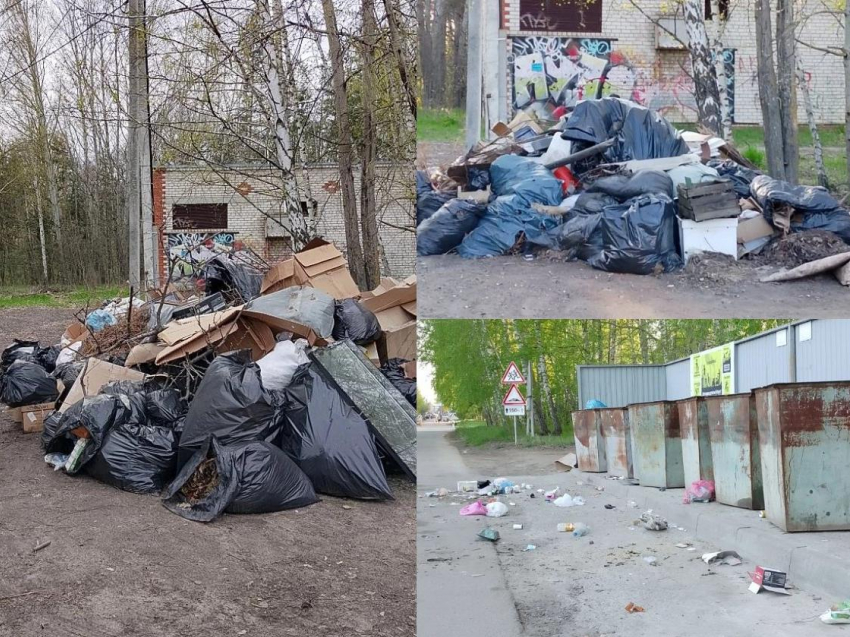 Мамы с колясками ходят возле стихийной свалки в Воронеже