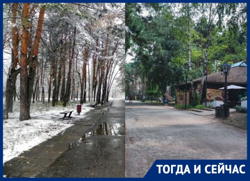 Любимый парк воронежских мам чуть не уничтожил «строительный клан»