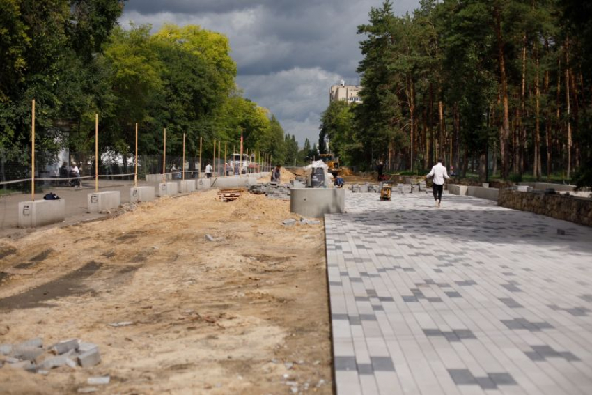 Масштабную реконструкцию парка «Танаис» записали на видео в Воронеже