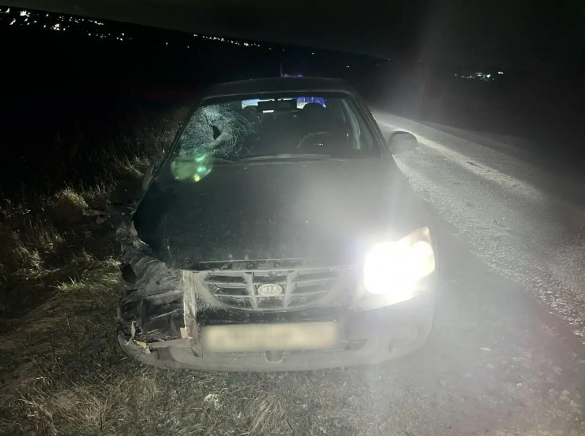 Пешехода сбили насмерть в Воронежской области