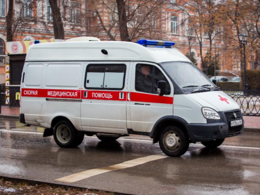 Ветка рухнула на 12-летнюю девочку в воронежском селе 