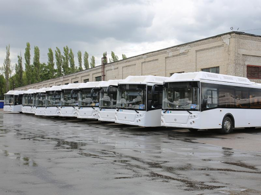 Новые автобусы с кондиционерами показали на фото в Воронеже