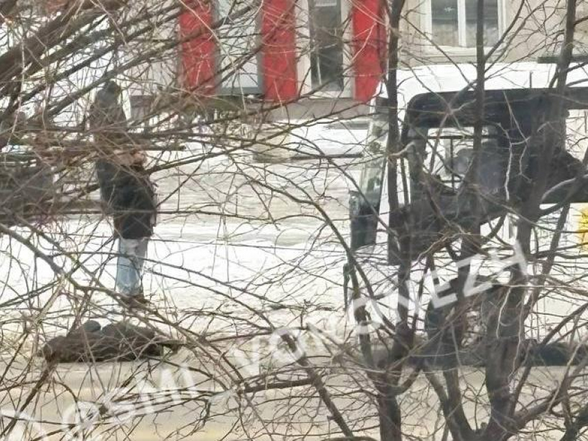 Автобус сбил пенсионерку в Воронеже 