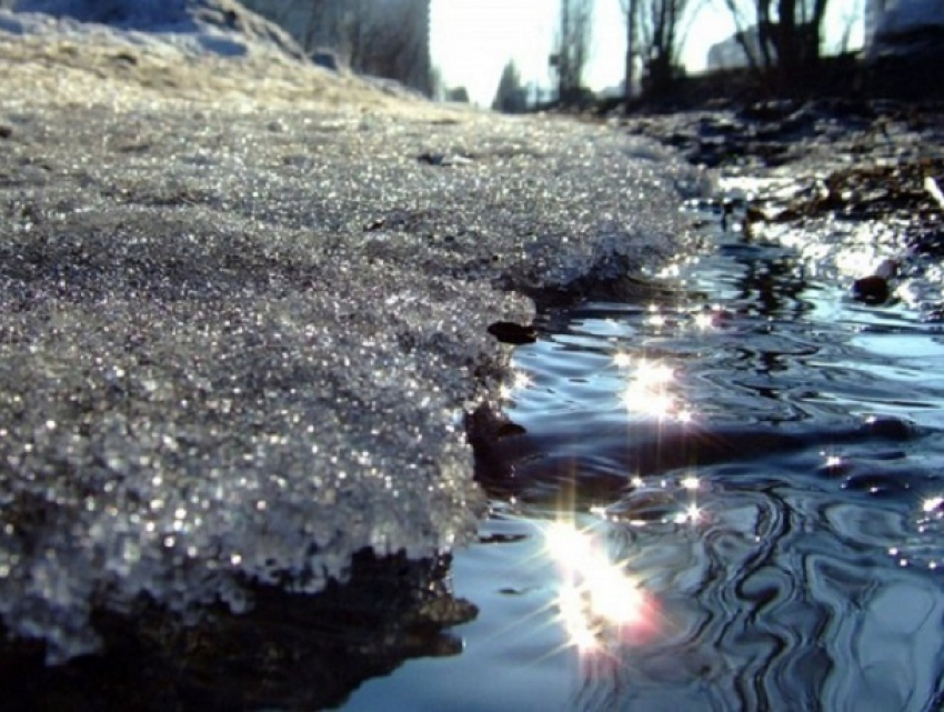 Воронежцев в первые выходные весны ждет потепление до 9 °C
