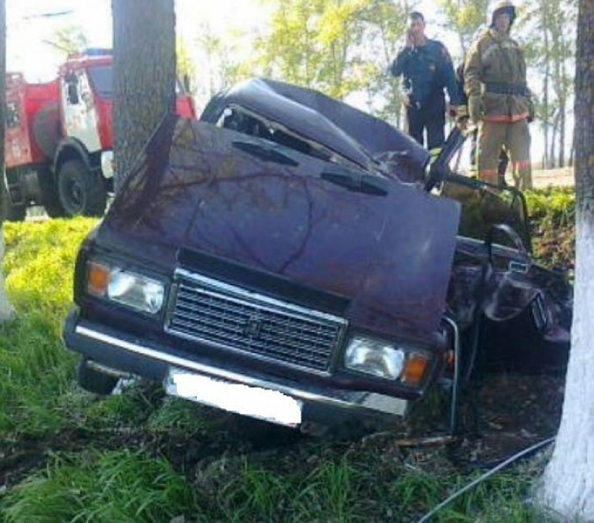 В Воронежской области Лада протаранила дерево: водитель погиб (ФОТО)