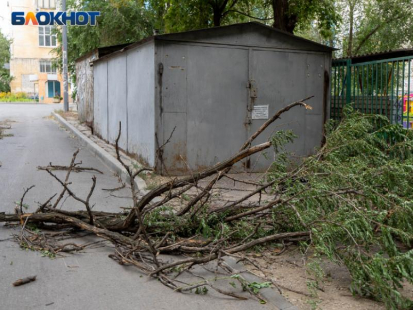 Штормовое предупреждение объявили в Воронежской области