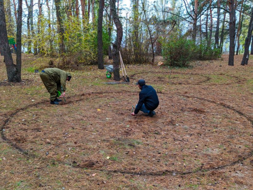 Места под новые аттракционы начали расчерчивать в воронежском парке «Дельфин»