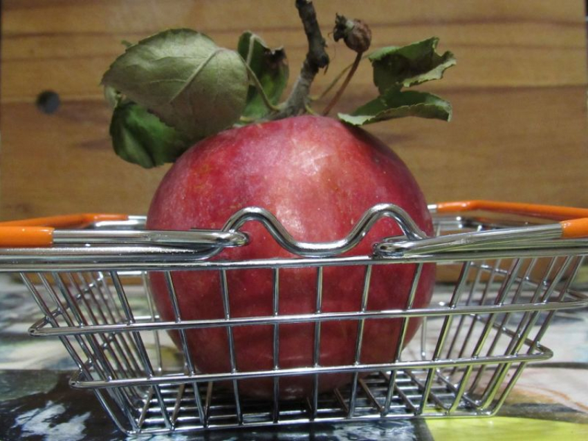 Компании, оставшейся без рекордной страховки в 204 млн рублей, грозит банкротство в Воронеже