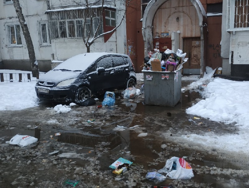 Разлетевшийся по лужам мусор прокомментировали в мэрии Воронежа