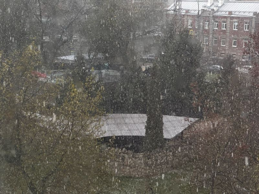 Переводить россиян на удаленку из-за непогоды предложил депутат Госдумы из Воронежа