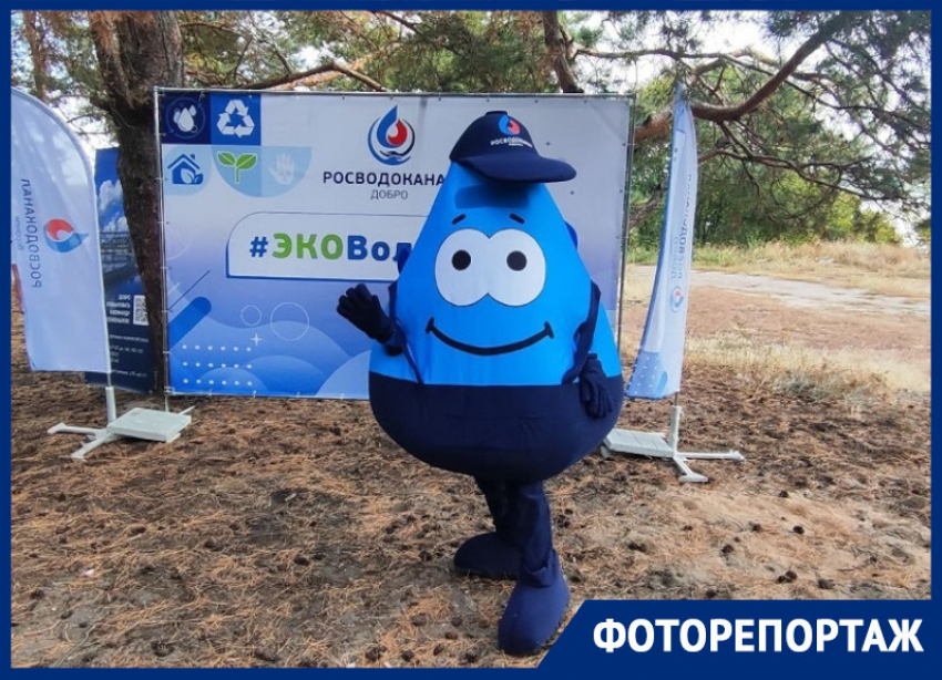 Тонну мусора с берегов водохранилища убрали студенты и пресса вместе с «РВК-Воронеж»