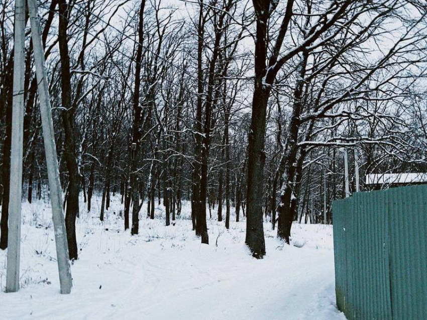 Морозная погода ожидается в начале новой рабочей недели в Воронеже