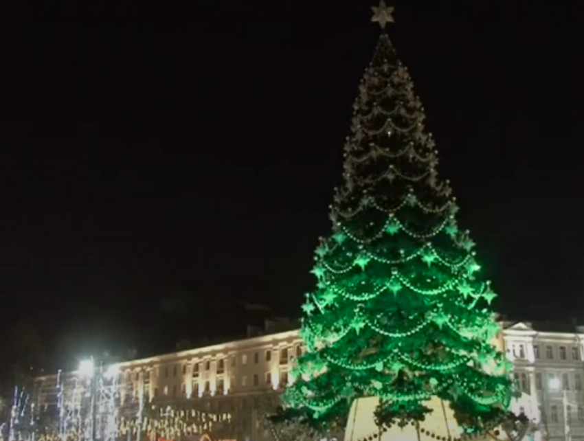 Первое включение новогодней елки попало на видео в Воронеже