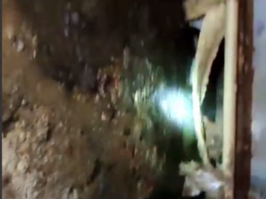 Фекальное королевство: тошнотворный подвал показали на видео в Воронеже