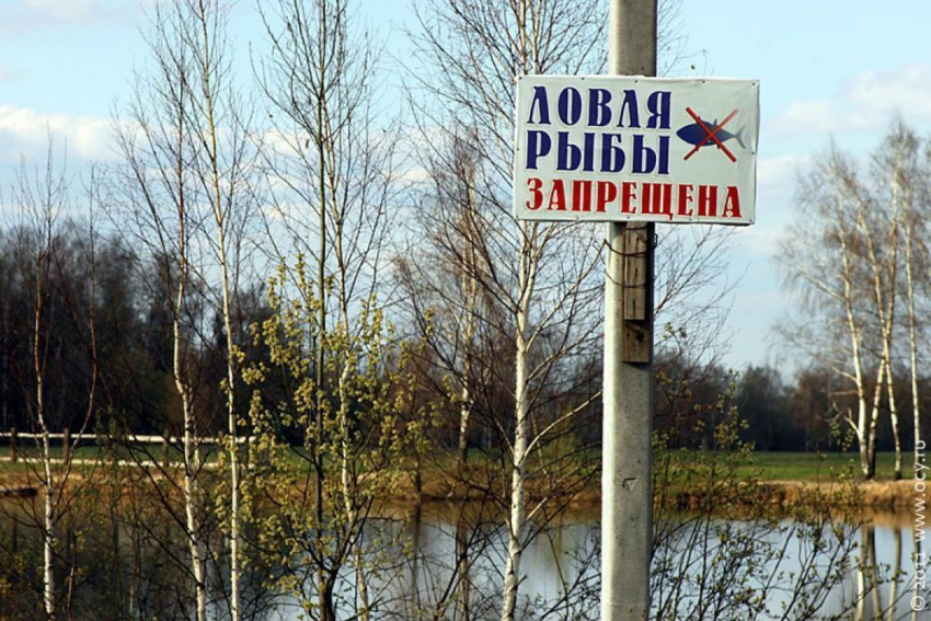 Воронежцы полтора месяца не смогут ловить рыбу и кататься на лодках 