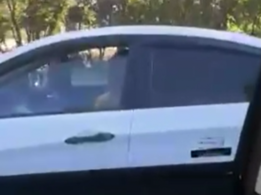  Автомобилист посадил за руль движущейся иномарки ребенка и попал на видео в Воронеже 